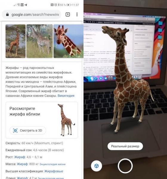 AR