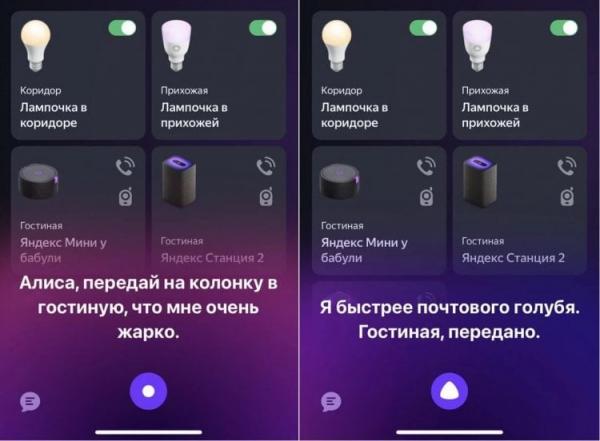 Сообщение на Яндекс Станцию. Это очень удобно (нет). Фото.