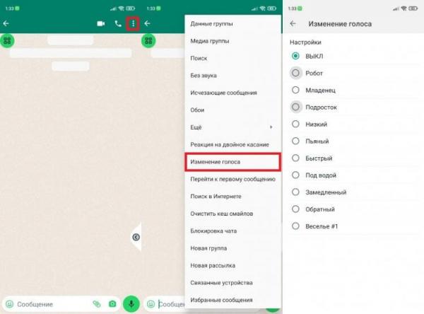 Как изменить голос в Ватсапе. В стандартном WhatsApp такой функции нет. Фото.