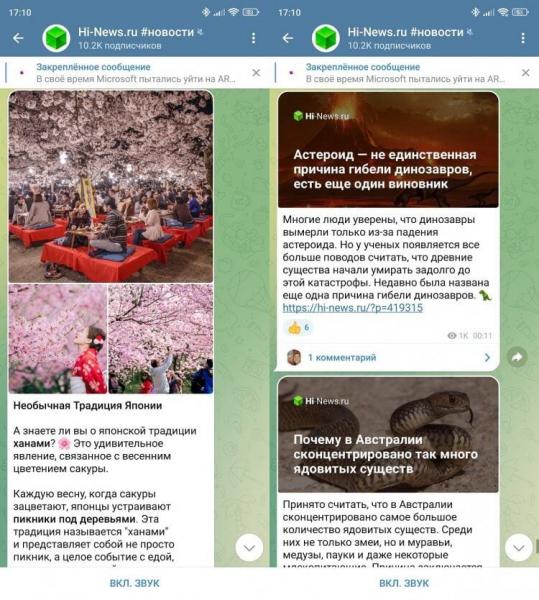Научно-популярный канал в Telegram. Посмотрите, здесь столько всего интересного! Фото.