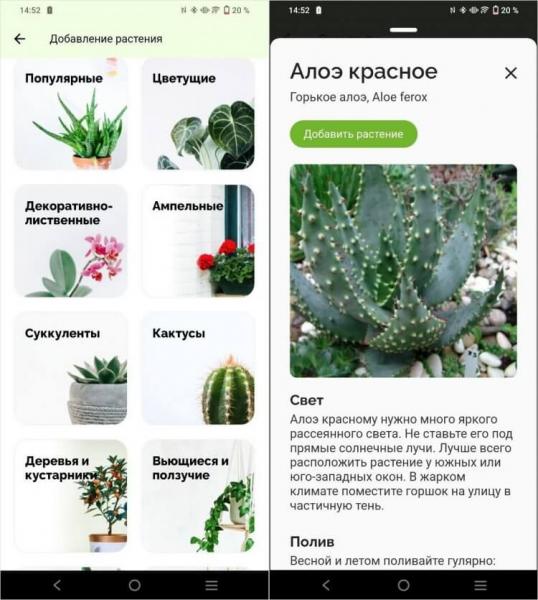 Как правильно поливать цветы. Этот крутой справочник-трекер не даст вашим цветам засохнуть! Фото.