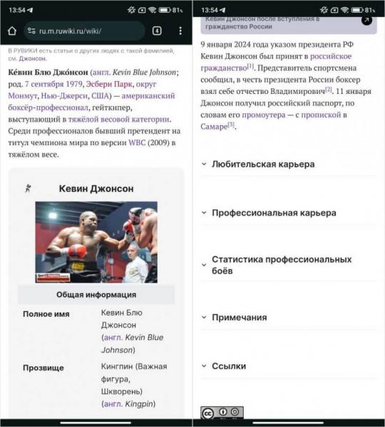 Рувики — официальный сайт. На странице информация отображается компактно и в свернутых разделах. Фото.
