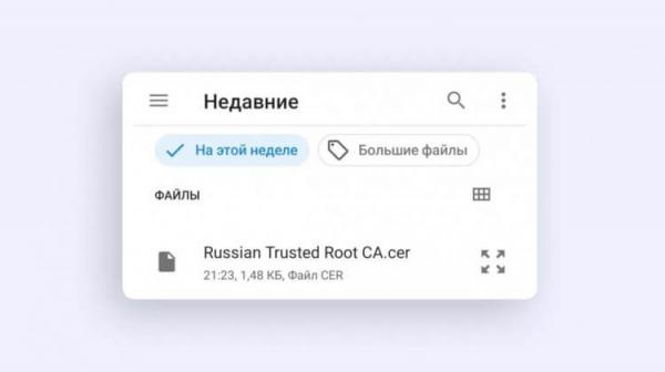 Как установить TLS-сертификаты Минцифры. Если понадобится озаглавить сертификат, главное — не ошибиться. Фото.