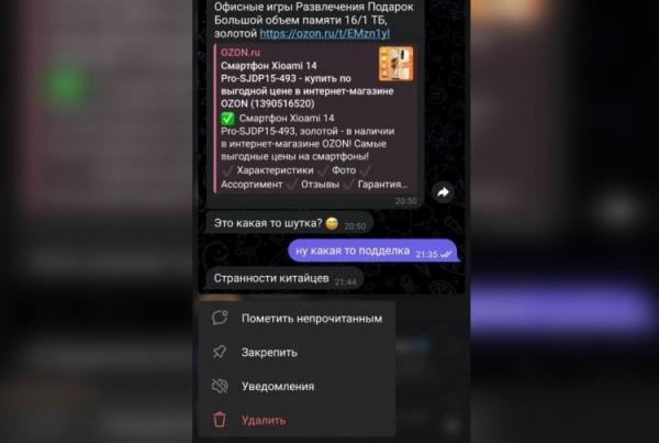 Предпросмотр сообщений в Телеграм. Откройте всплывающее окно и просмотрите чат. Фото.