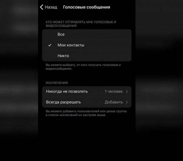 Полезные функции Телеграм Премиум. Премиум-подписка дает возможность заблокировать отправку голосовых. Фото.