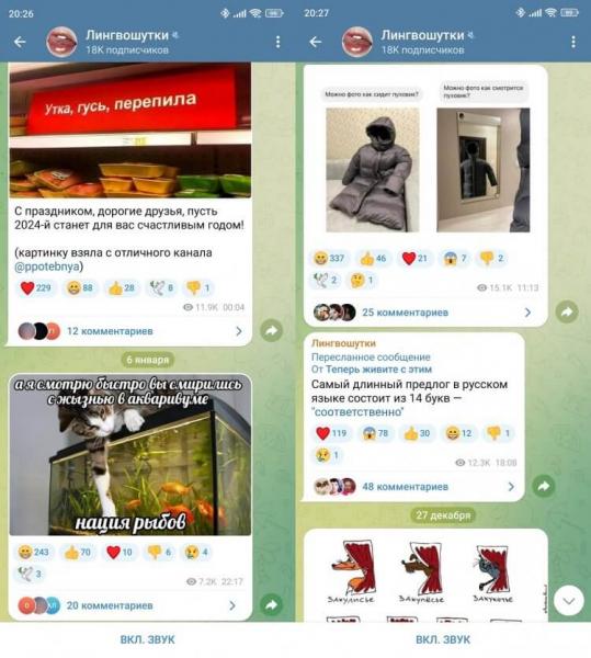 Лингвистические мемы и шутки. Смешно и умно одновременно. Фото.