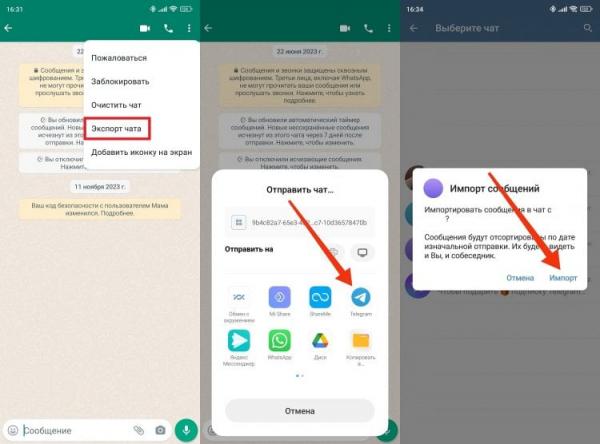 Как перенести чат из WhatsApp в Telegram. Чаты в WhatsApp и Telegram объединятся. Фото.