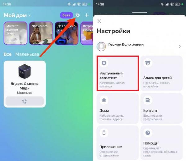 Быстрые команды для Алисы. Основные настройки скрываются в разделе «Виртуальный ассистент». Быстрые команды для Алисы. Основные настройки скрываются в разделе «Виртуальный ассистент». Фото.