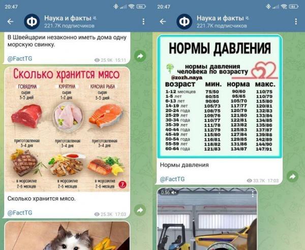 Телеграм-канал Наука и факты. Только самая полезная информация. Фото.