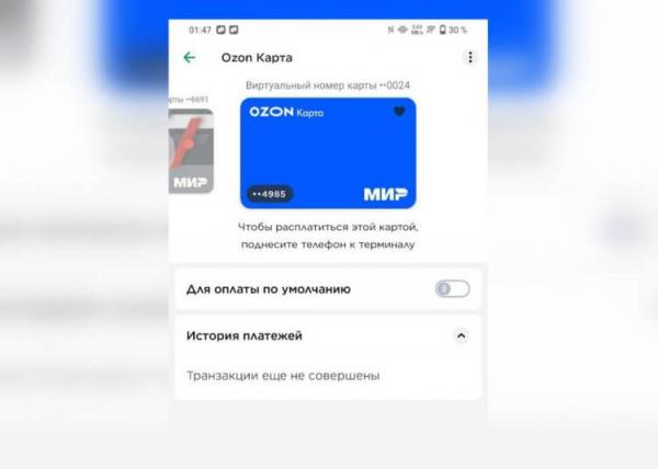 Как добавить Озон Карту в Мир Пэй. Карта Озон добавляется в Мир Пэй за несколько минут. Фото.