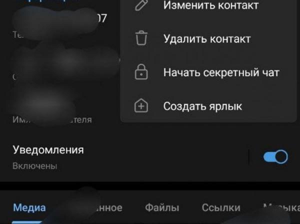 Зачем нужен секретный чат в Телеграме. Секретный чат отображается только на одном устройстве, поэтому его нельзя читать с привязанного смартфона. Фото.