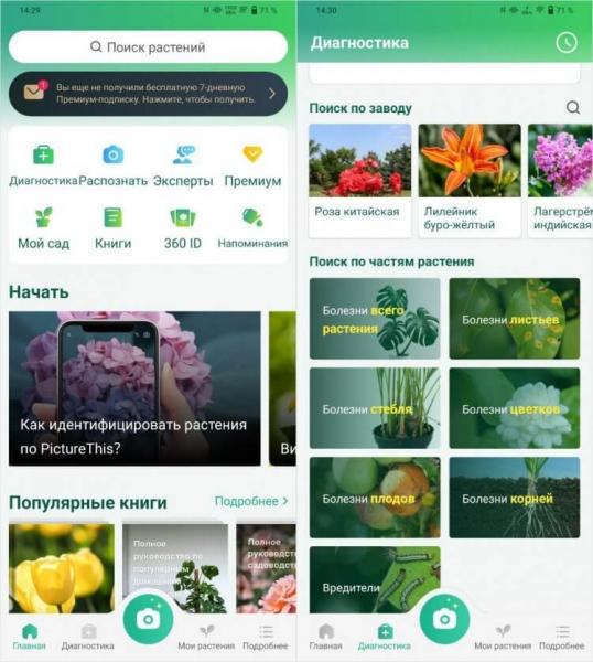 Приложение для распознавания растений. Утилита сможет распознать практически любое растение. Фото.