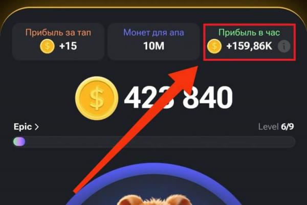 Как играть в Hamster Kombat. Главное — не количество заработанных монет, а прибыльность биржи. Фото.
