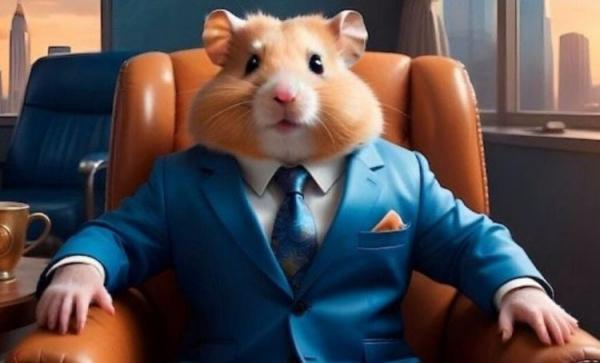 Обнулили аккаунт в Hamster Kombat — что делать. Вашего хомяка побрили? Соболезнуем. Фото.