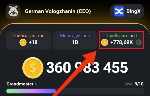 Карты в Hamster Kombat — какие прокачивать. Главный показатель в хомяке — прибыль в час. Фото.