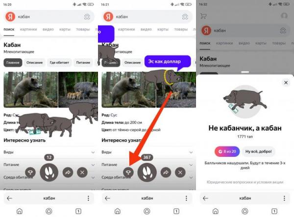 Игра Яндекса про кабана. Количество собранных баллов Плюса можно проверить в специальном окне. Игра Яндекса про кабана. Количество собранных баллов Плюса можно проверить в специальном окне. Фото.