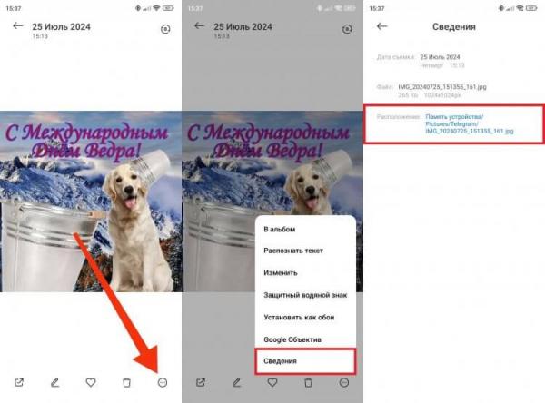 Где хранятся фото с Телеграмма. Посмотреть расположение можно через галерею. Фото.