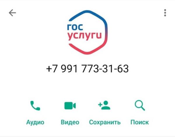 Пишут с Госуслуг на Ватсап. Что это значит. Номера, с которых пишут в Ватсапе, могут быть самыми разными. Но во всех случаях это мошенники. Фото: Пикабу. Фото.