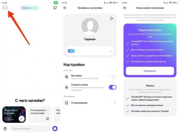 Как настроить Алису в приложении. В разделе настроек доступно несколько опций. Фото.