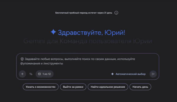 А вот и привычное окошко с чатом и дополнительными функциями, которых нет в бесплатной версии. Фото.