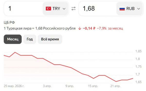 Реальный курс лиры к рублю немного выгоднее. Фото.