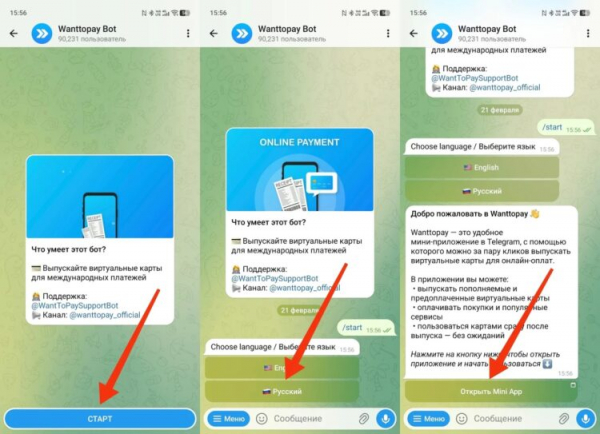 Первым делом запускаем бота. Фото.
