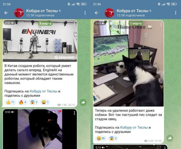 Человеческим языком о нечеловеческих гаджетах. Фото.