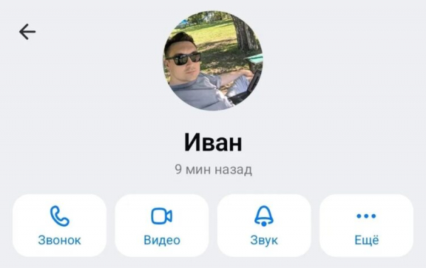 Так выглядит статус о времени посещения в MAX. Фото.