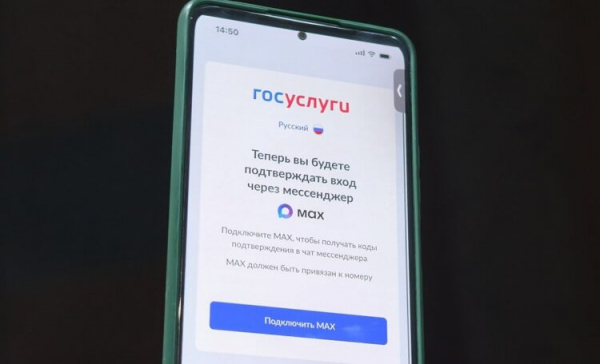 Вход на Госуслуги теперь через MAX. Фото.