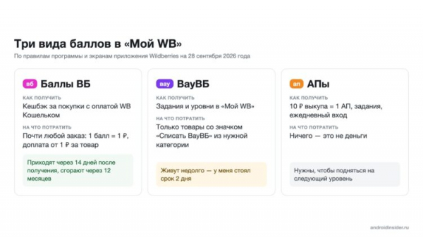 Три вида баллов в программе «Мой WB»
