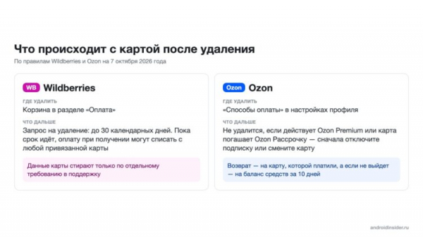 Сроки, ограничения и возвраты Wildberries и Ozon