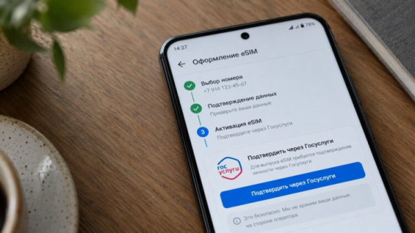 Оформление eSIM с подтверждением через Госуслуги