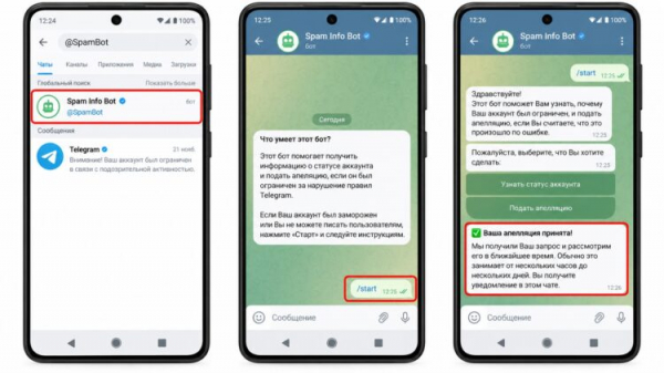 Подача апелляции через Spam Info Bot
