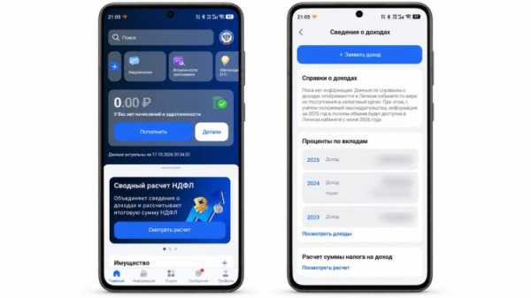 Интерфейс приложения «Налоги ФЛ» на телефоне